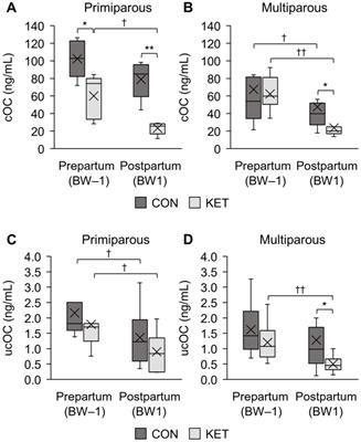 Comparison of prepartum blood parameters in dairy cows with postpartum ketosis and new risk prediction candidates